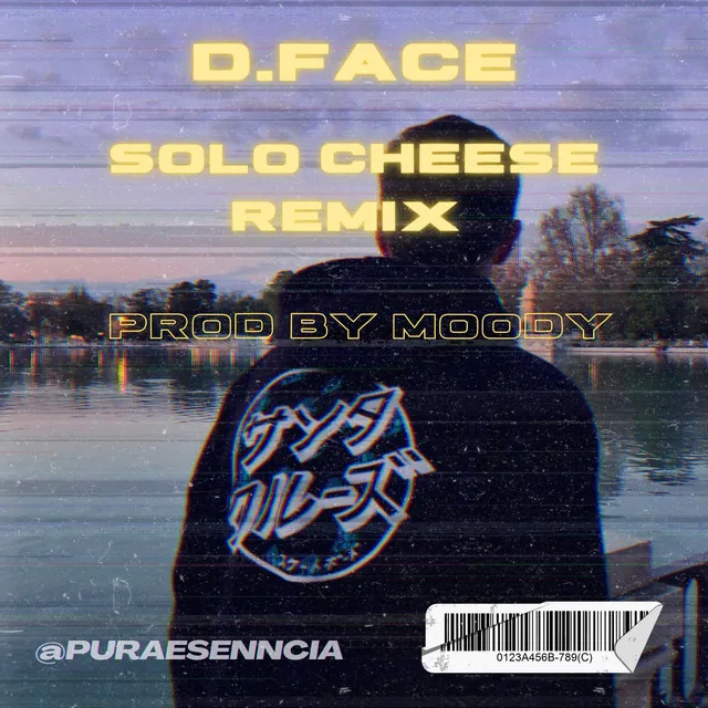 SOLO CHEESE - Moody remix