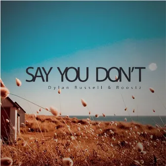 Say You Don't by Roostz