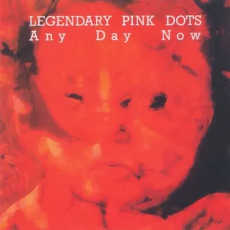 Any Day Now by The Legendary Pink Dots