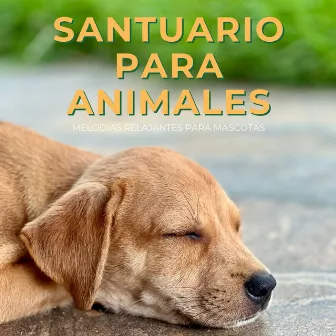 Santuario Para Animales: Melodías Relajantes Para Mascotas by Guru de música tranquila