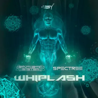 Whiplash by Spectree