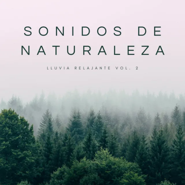 Sonidos De Naturaleza: Lluvia Relajante Vol. 2