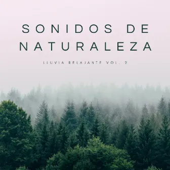 Sonidos De Naturaleza: Lluvia Relajante Vol. 2 by Unknown Artist