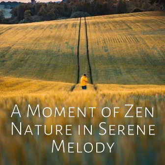 A Moment of Zen Nature in Serene Melody by Zen Roads