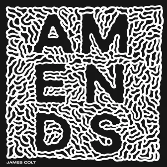 Amends by James Colt