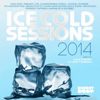 Ice Cold Sessions 2014 Mixed By Luca Guerrieri aka Josh Feedblack by Josh Feedblack