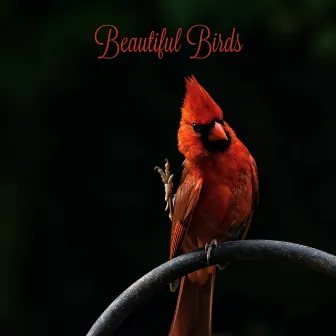 Beautiful Birds by Spiritual Medicine