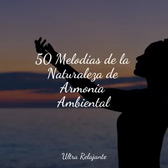 50 Melodías de la Naturaleza de Armonía Ambiental by Relajación Meditar Academie