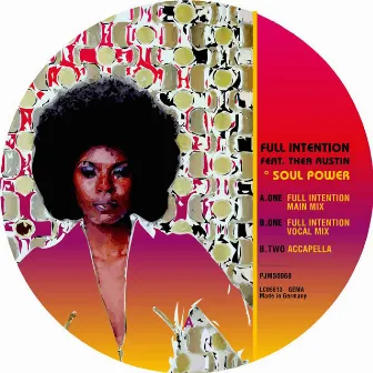 Soul Power by Thea Austin