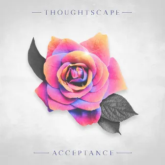 Acceptance by Thoughtscape