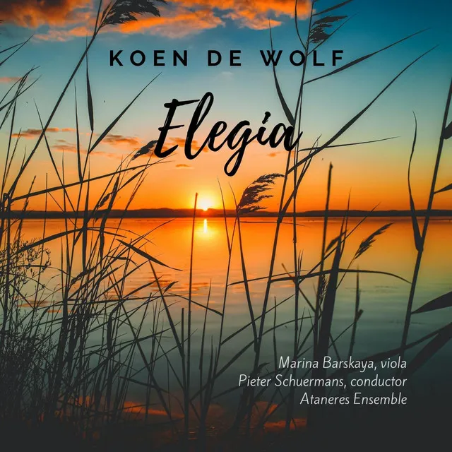 Koen De Wolf: Elegia