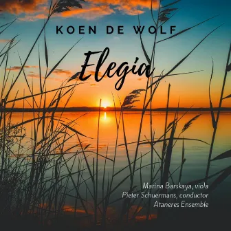 Koen De Wolf: Elegia by Pieter Schuermans