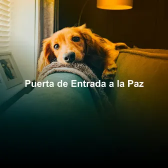 Puerta de Entrada a la Paz by Musica Relajante para Perros Momentos