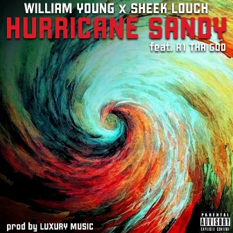 Hurricane Sandy by William Young