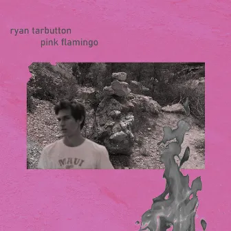 Pink Flamingo by Ryan Tarbutton