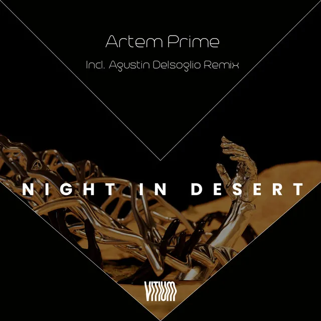 Night in Desert - Agustin Delsoglio Remix