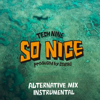 SO NICE (ALTERNATIVE MIX INSTRUMENTAL) by TECH NINE