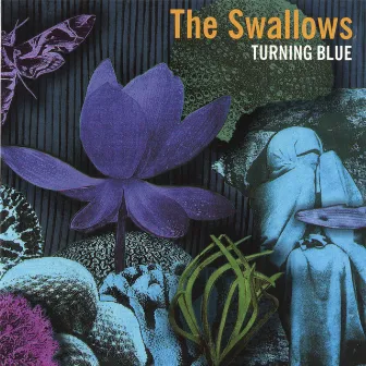 Turning Blue by The Swallows