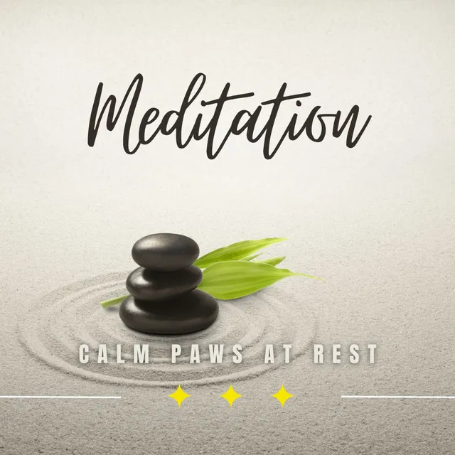 Meditation and Relaxation