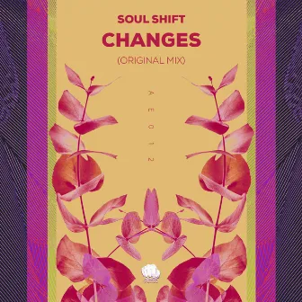 Changes by Soul Shift