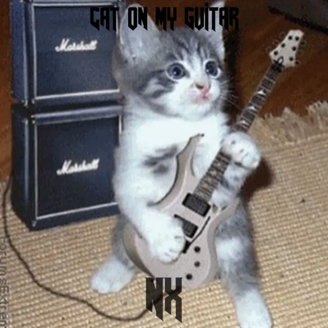 CAT ON MY GUITAR