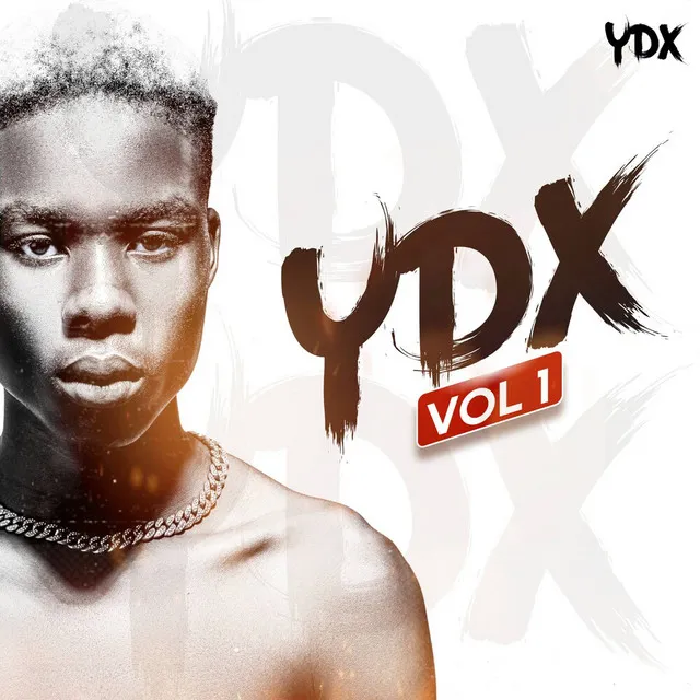 YDX, VOL. 1