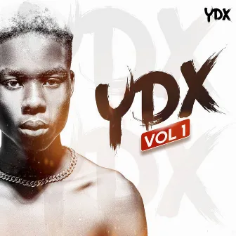 YDX, VOL. 1 by YDX