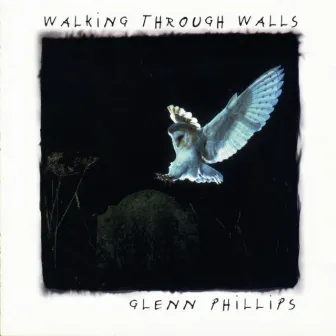 Walking Through Walls by Glenn Phillips