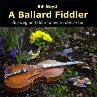 A Ballard Fiddler by Bill Boyd