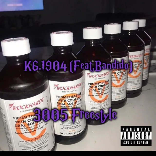 3005 freestyle