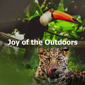 Joy of the Outdoors by Rainforest Spa Relaxing