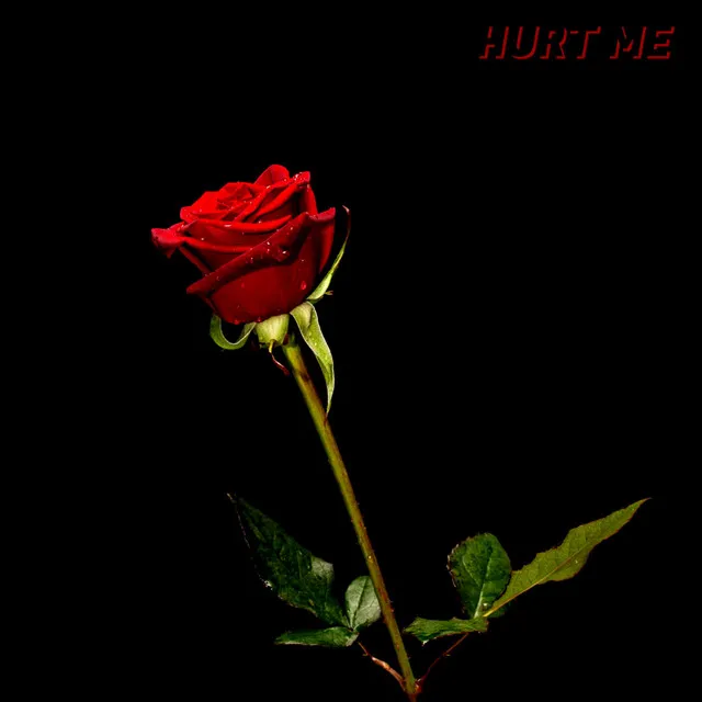 Hurt Me