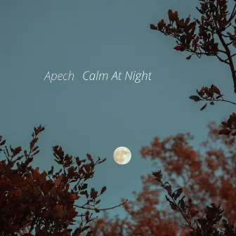 Calm At Night by Apech