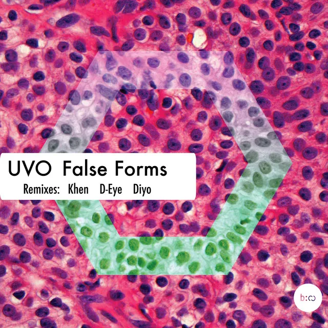 False Forms - Diyo Remix