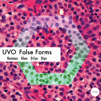 False Forms by Uvo