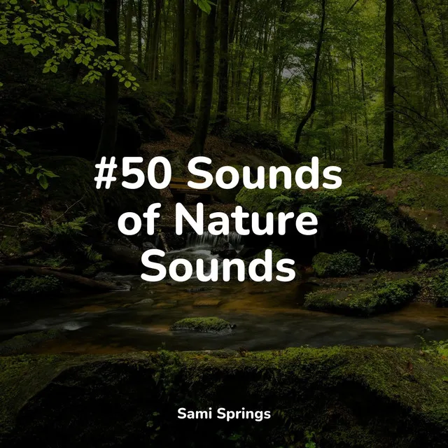 #50 Sounds of Nature Sounds