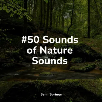 #50 Sounds of Nature Sounds by Sleep Sound Library