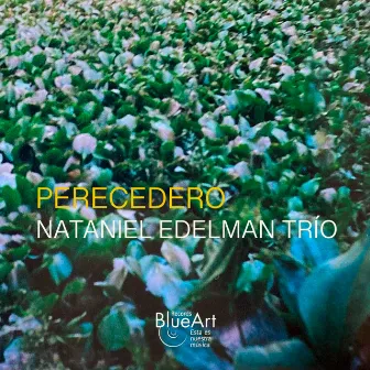 Perecedero by Nataniel Edelman