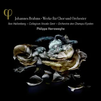 Brahms: Werke für Chor und Orchester by Ann Hallenberg