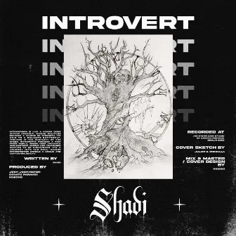 Introvert by Shadi