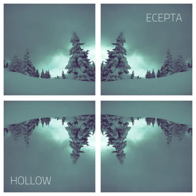 Hollow