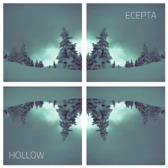 Hollow by Ecepta