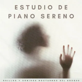 Estudio De Piano Sereno: Grillos Y Sonidos Nocturnos Del Bosque by Ritmos de música de estudio acústico