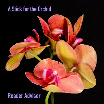 A Stick for the Orchid by Unknown Artist