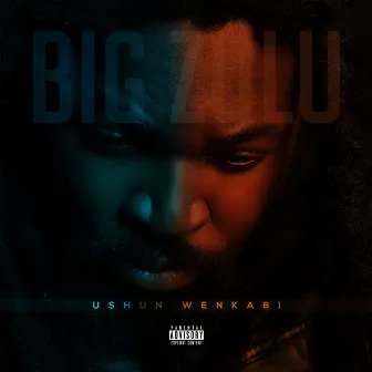 Ushun Wenkabi by Big Zulu