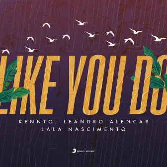 Like You Do by Lala Nascimento