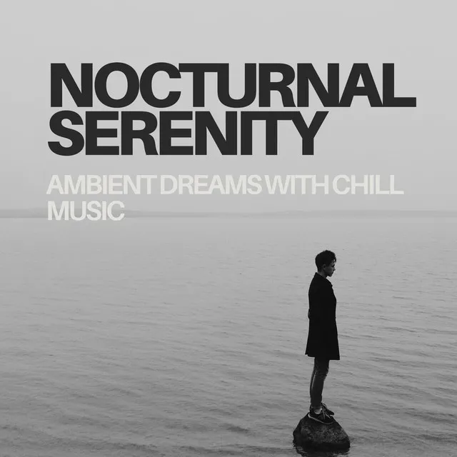 Nocturnal Serenity: Ambient Dreams with Chill Music