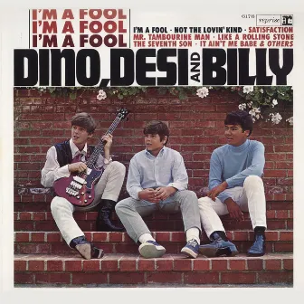 I'm A Fool by Dino, Desi & Billy