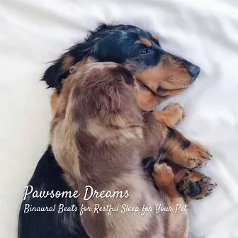 Pawsome Dreams: Binaural Beats for Restful Sleep for Your Pet by Migration Waves