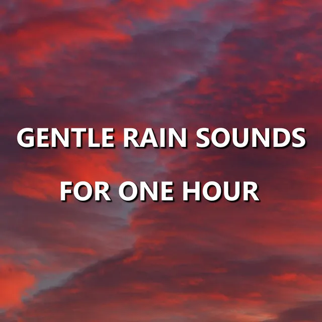 Gentle Rain Sounds for One Hour